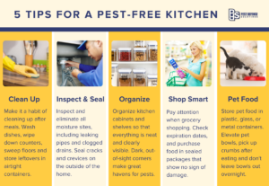 5 Easy Tips To Prevent Pests In Your Kitchen | Pest Defense Solutions ...